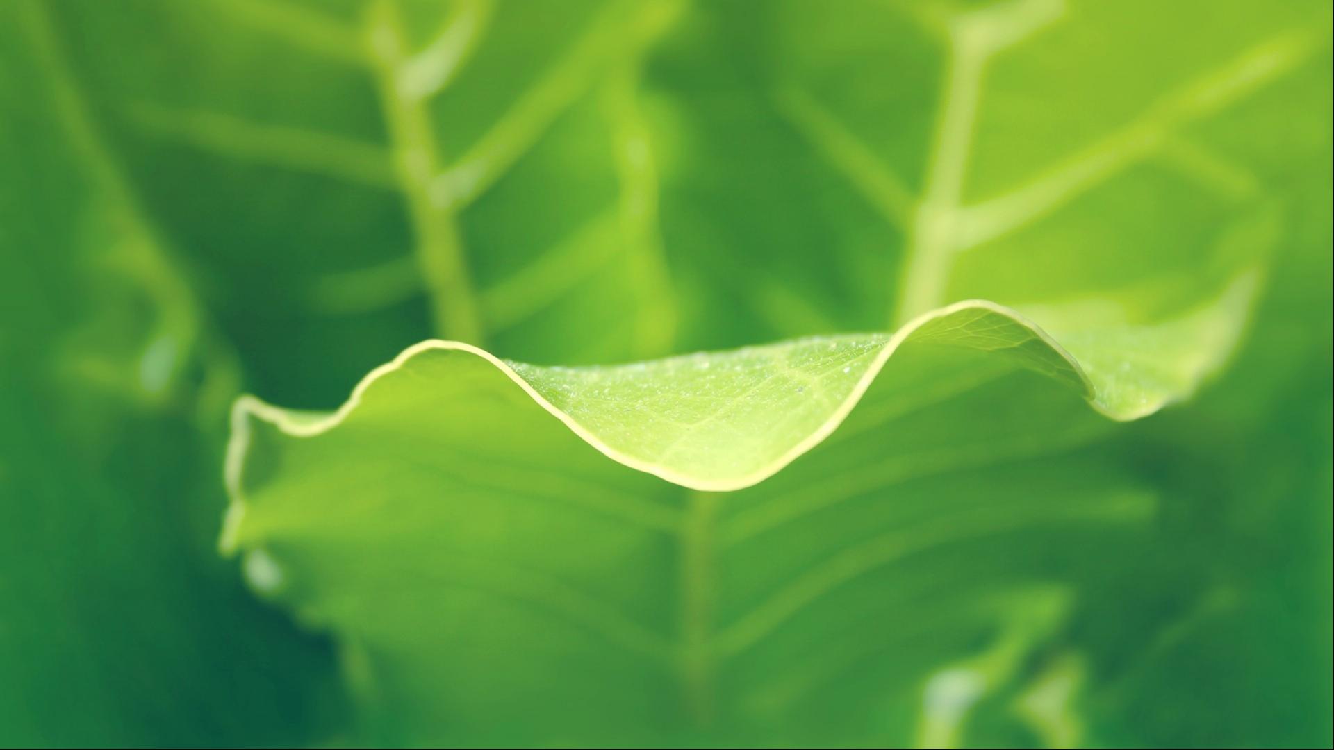 Curvas En La Naturaleza - HD Wallpaper 