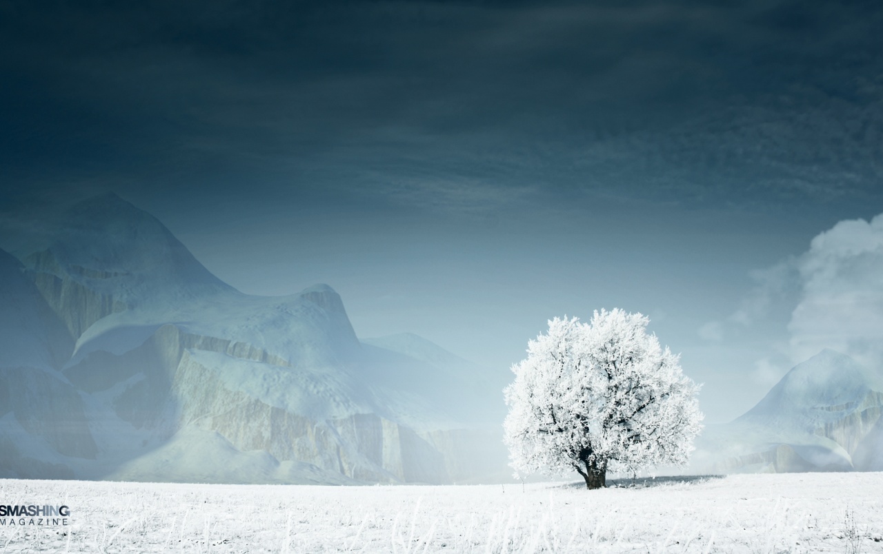 Lonely White Guardian Wallpapers - Winter Dance - HD Wallpaper 