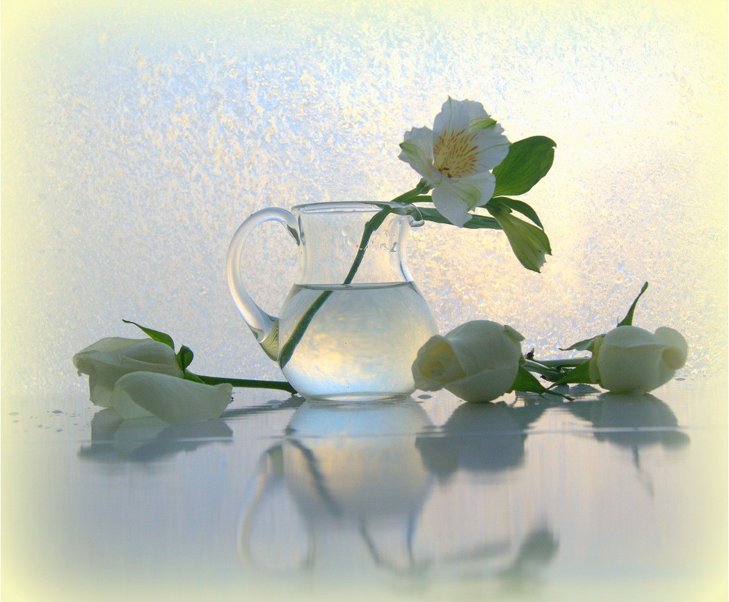 Still Life Photography - HD Wallpaper 