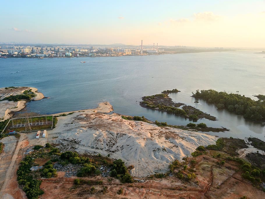 Malaysia, Masai, Bandar Baru Permas Jaya, Trunk, Forest, - Sea - HD Wallpaper 