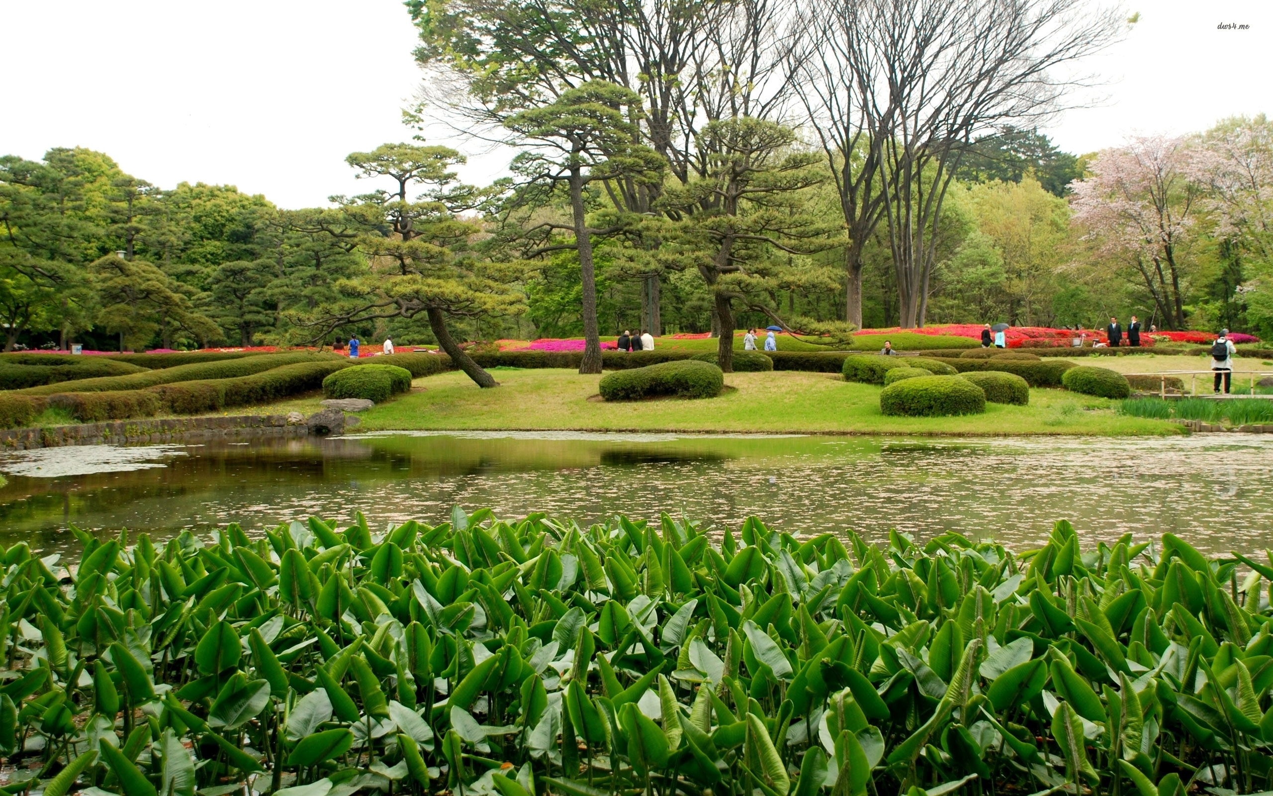 Japanese Garden Wallpaper - HD Wallpaper 
