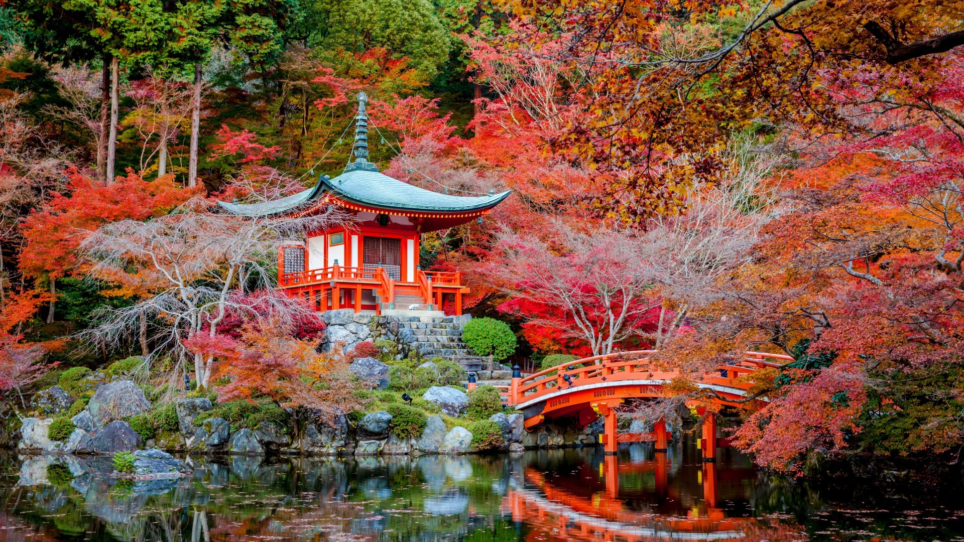 Japanese, Shrine, Bridge, Autumn, Fall, Stream, Stairs, - Japan Autumn - HD Wallpaper 