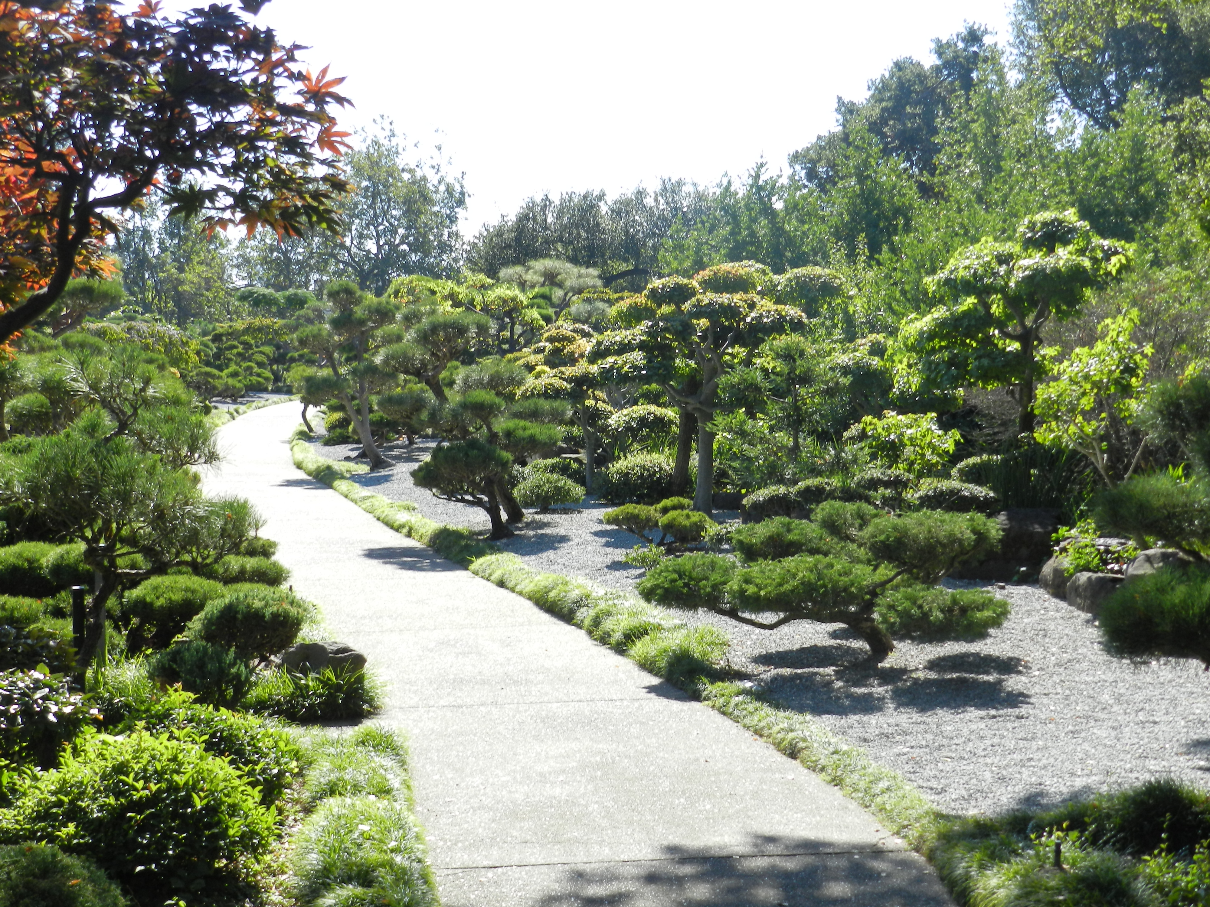 Japanese Gardens - HD Wallpaper 