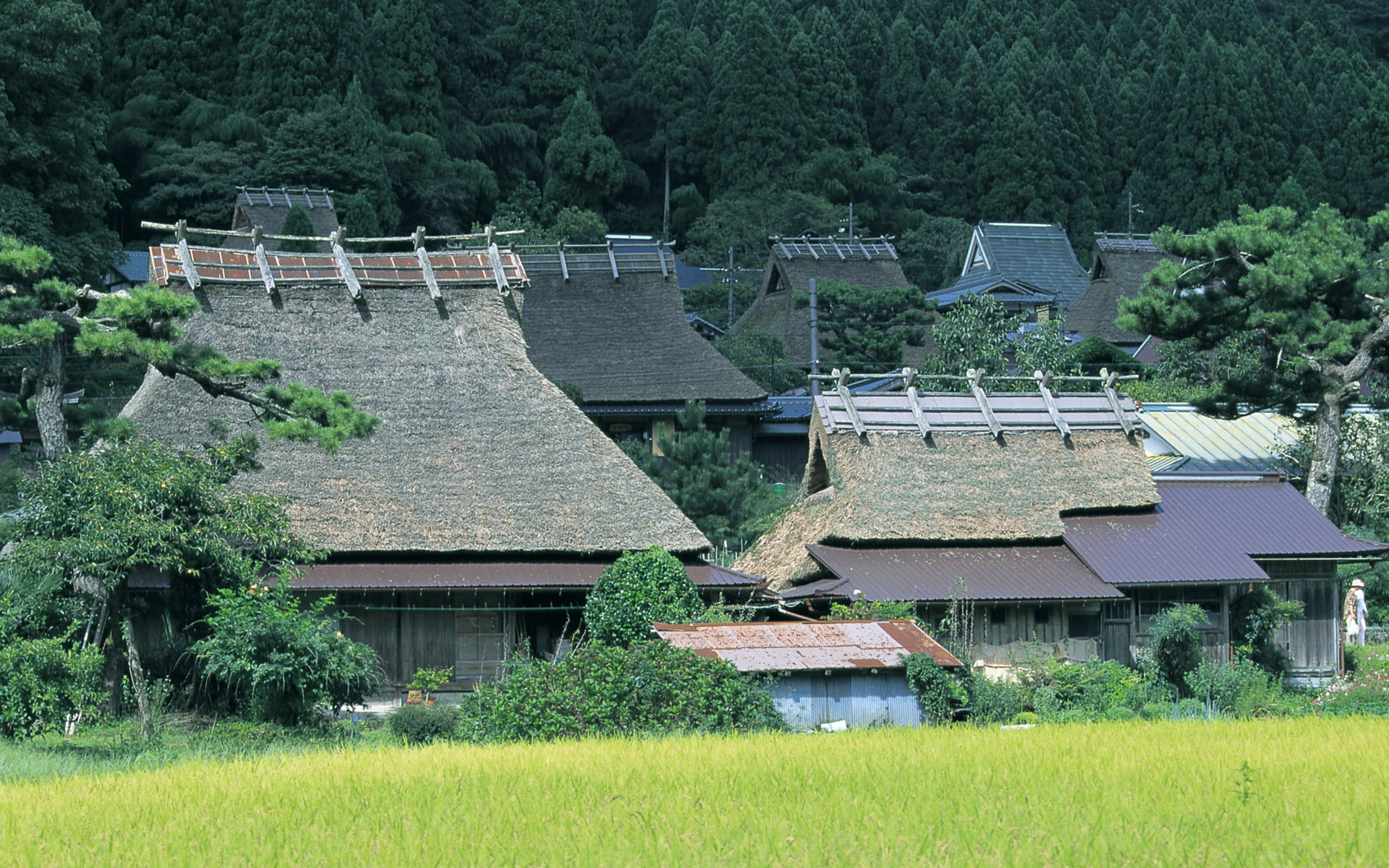 Beautiful Japan Wallpaper - Roof - HD Wallpaper 