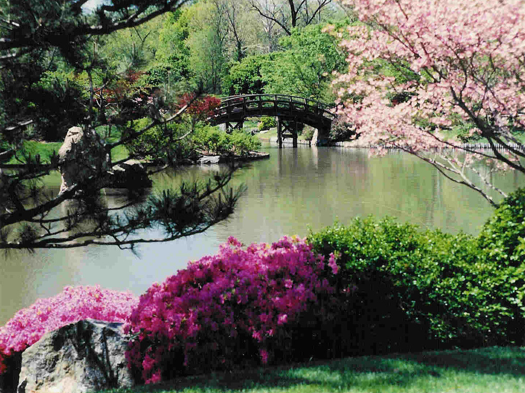 Spring Garden Wallpaper Spring In Japanese Garden - Japanese Garden - HD Wallpaper 