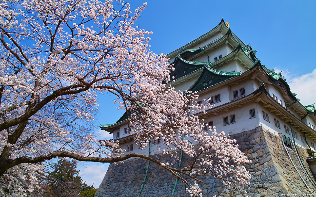 Nagoya Castle - HD Wallpaper 