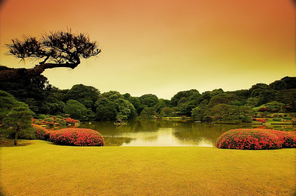 Sunset On Japanese Garden - HD Wallpaper 