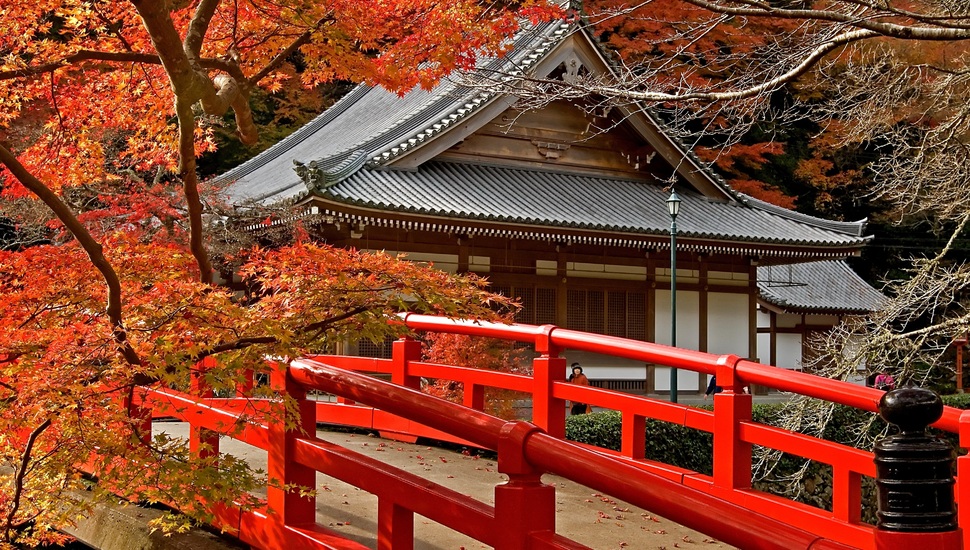 Leaves, The Temple, Trees, Japan, Japan, Road, Maple, - Japan 1920 X 1080 - HD Wallpaper 