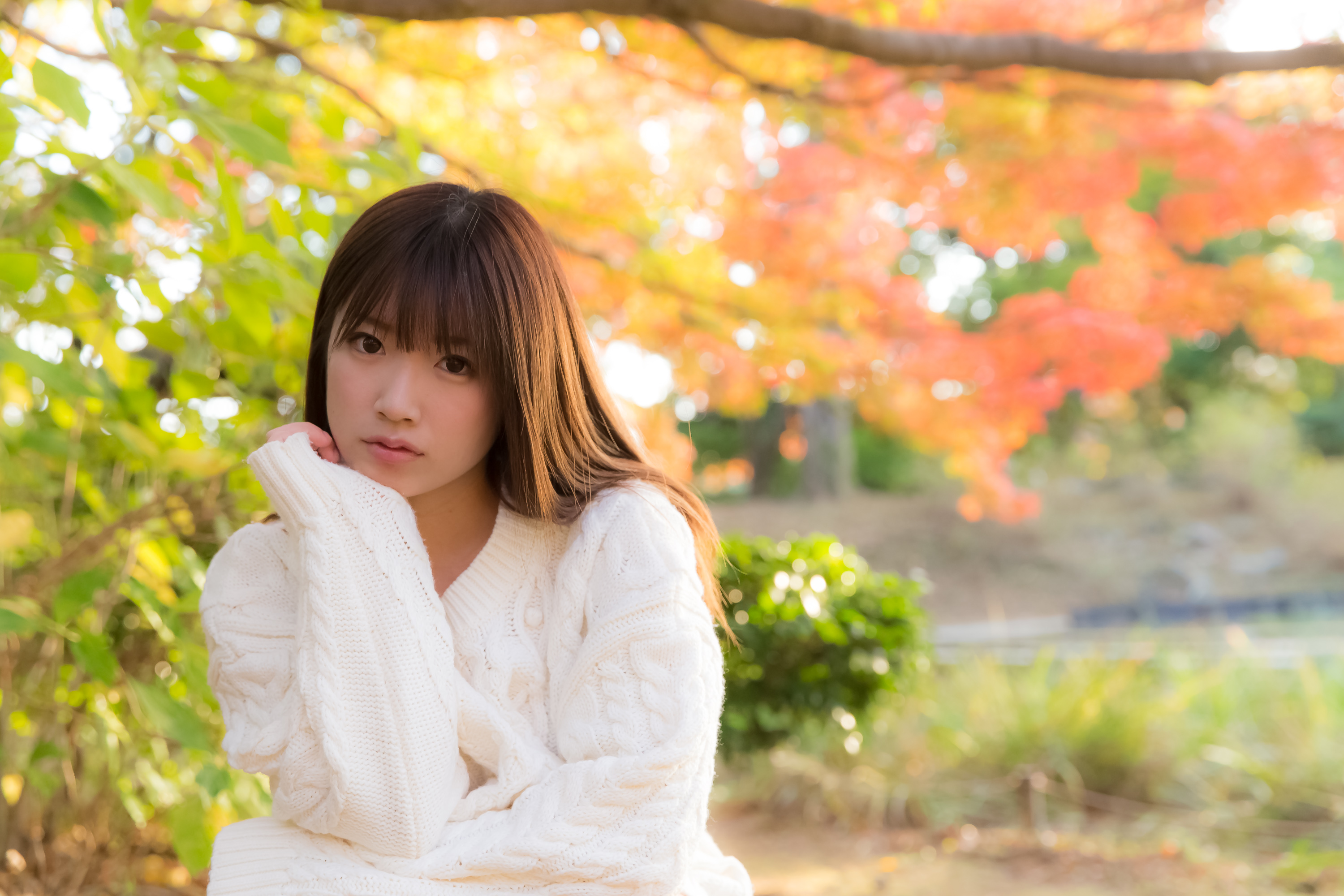 Yutory - HD Wallpaper 