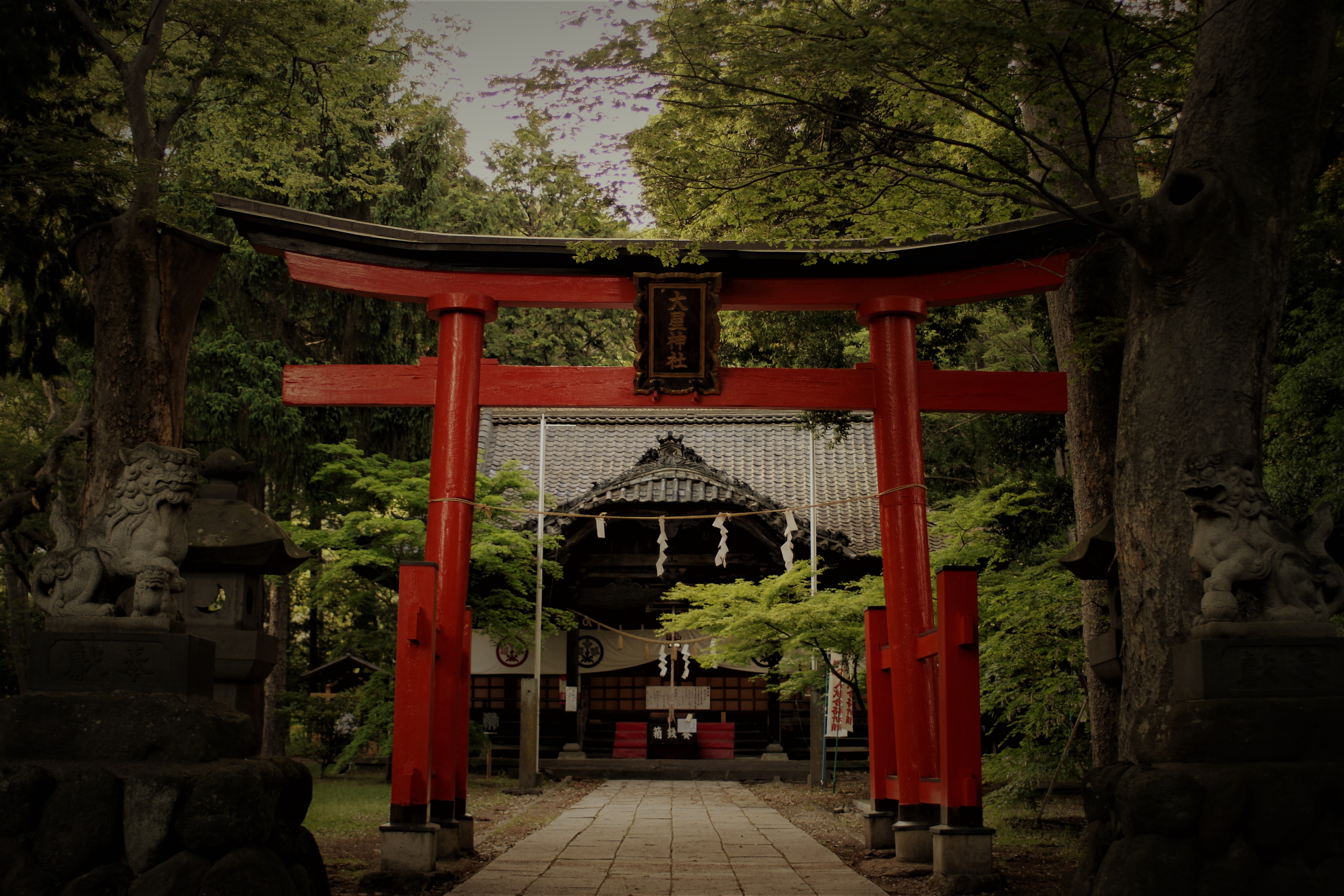 Shinto Shrine - HD Wallpaper 