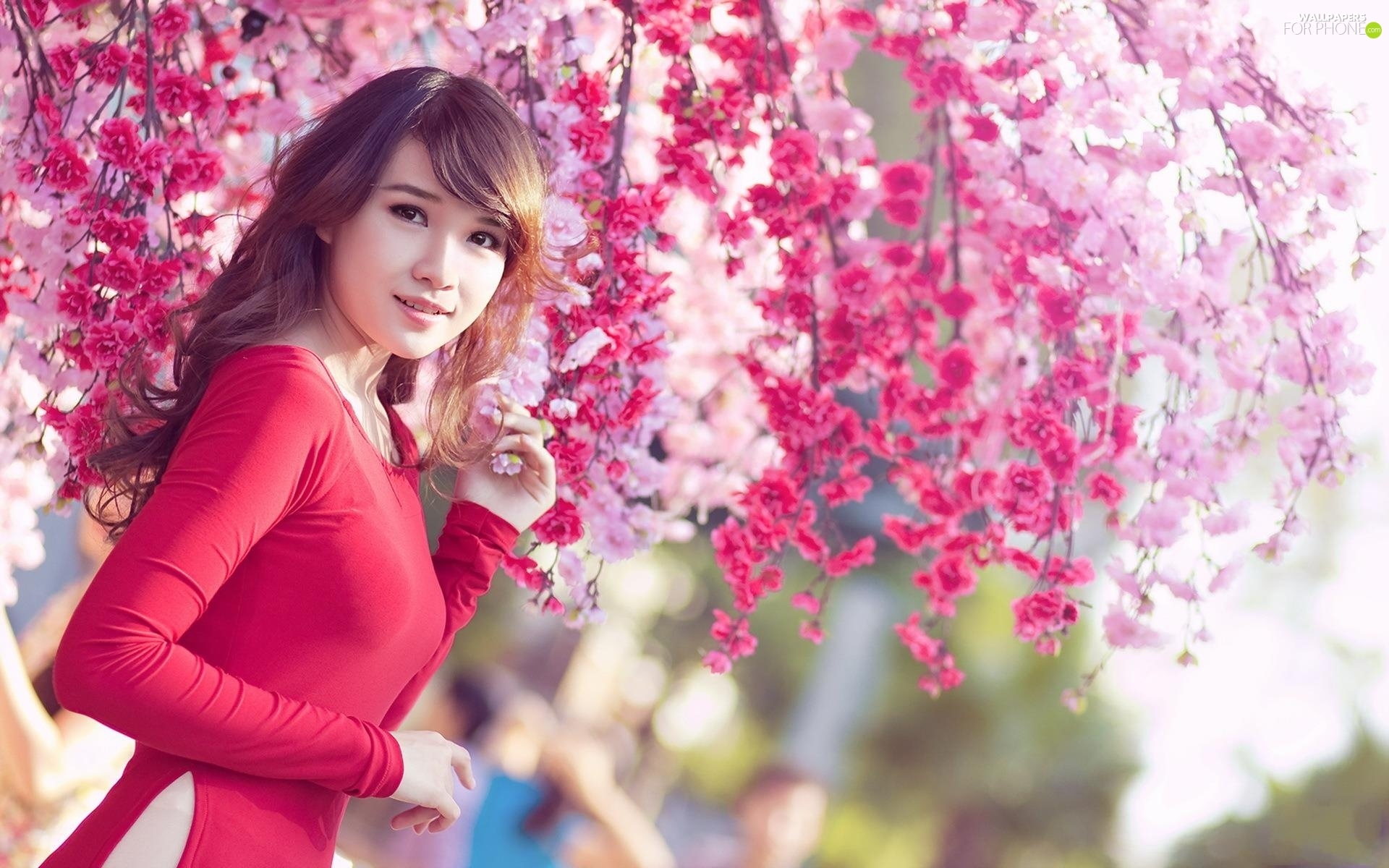 Japanese Girl Wallpapers Widescreen - HD Wallpaper 