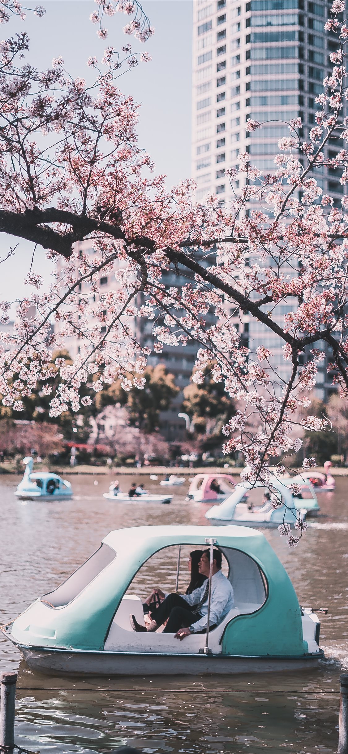 Ueno Park Tokyo Japan - HD Wallpaper 