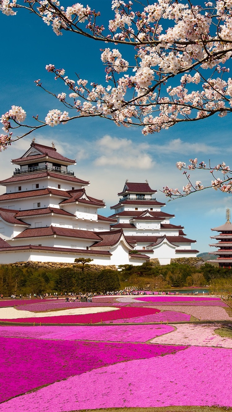 Iphone Wallpaper Fuji Mount, Japan, Temple, Sakura - Cherry Blossom Chromecast Background - HD Wallpaper 