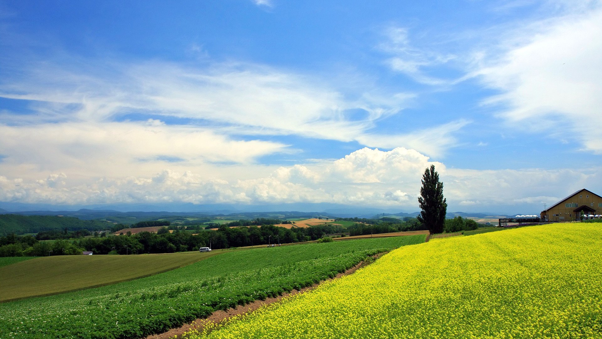 Open Field In Japan - HD Wallpaper 