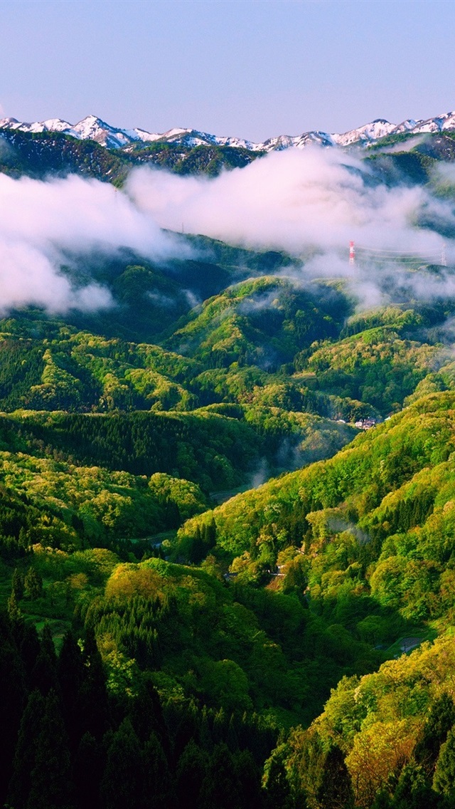 Beautiful Nature Mornings - HD Wallpaper 