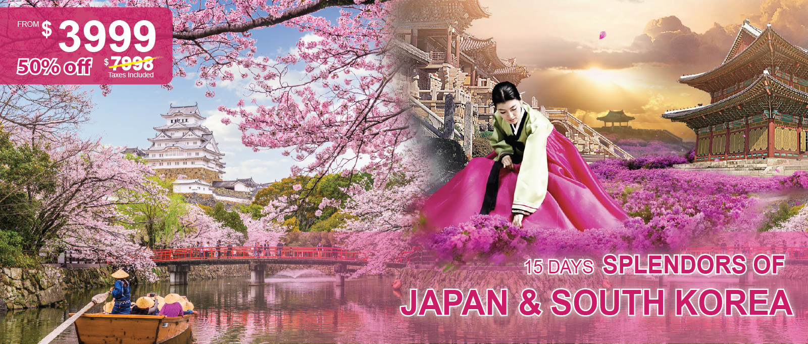 Edo Castle Cherry Blossom - HD Wallpaper 