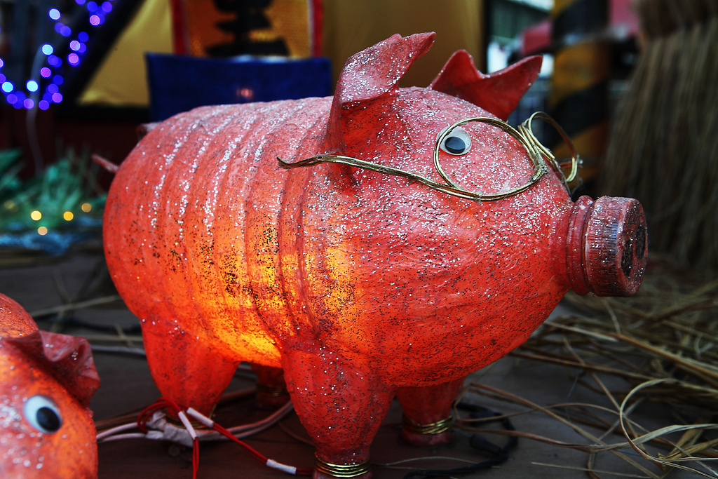 Free Download Aljanh - Domestic Pig - HD Wallpaper 