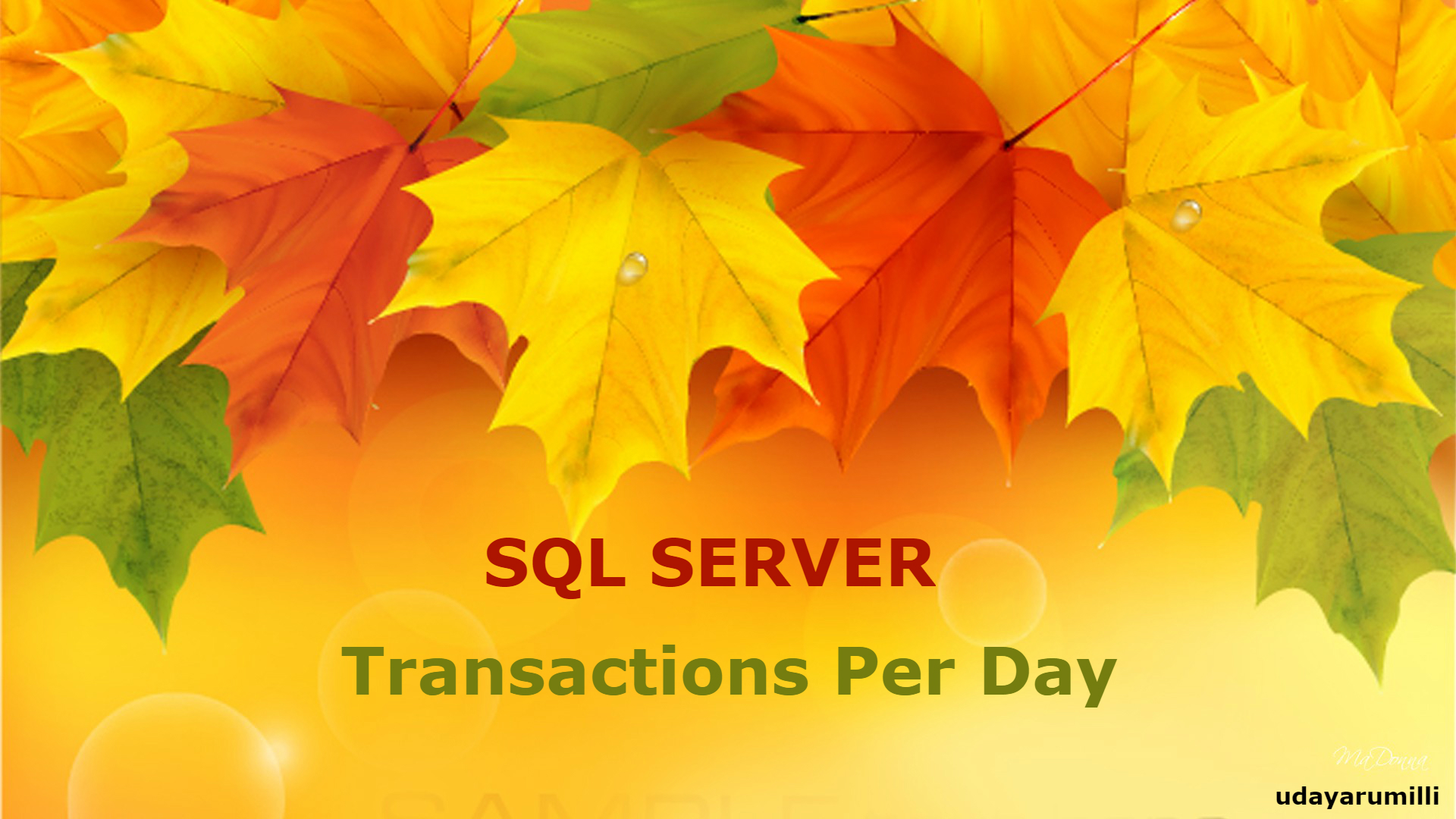 Sql Server Transactions Per Day - Happy Thanksgiving Thankful For You - HD Wallpaper 