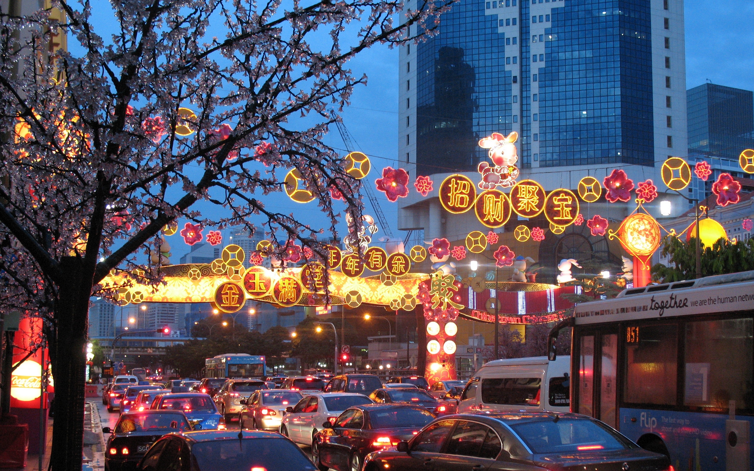 Wallpaper Singapore, Holiday, Chinatown, Cork, City, - Chinatown - HD Wallpaper 