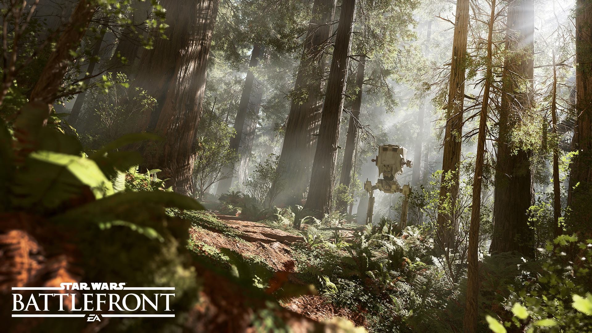 Star Wars Wallpaper Endor - HD Wallpaper 