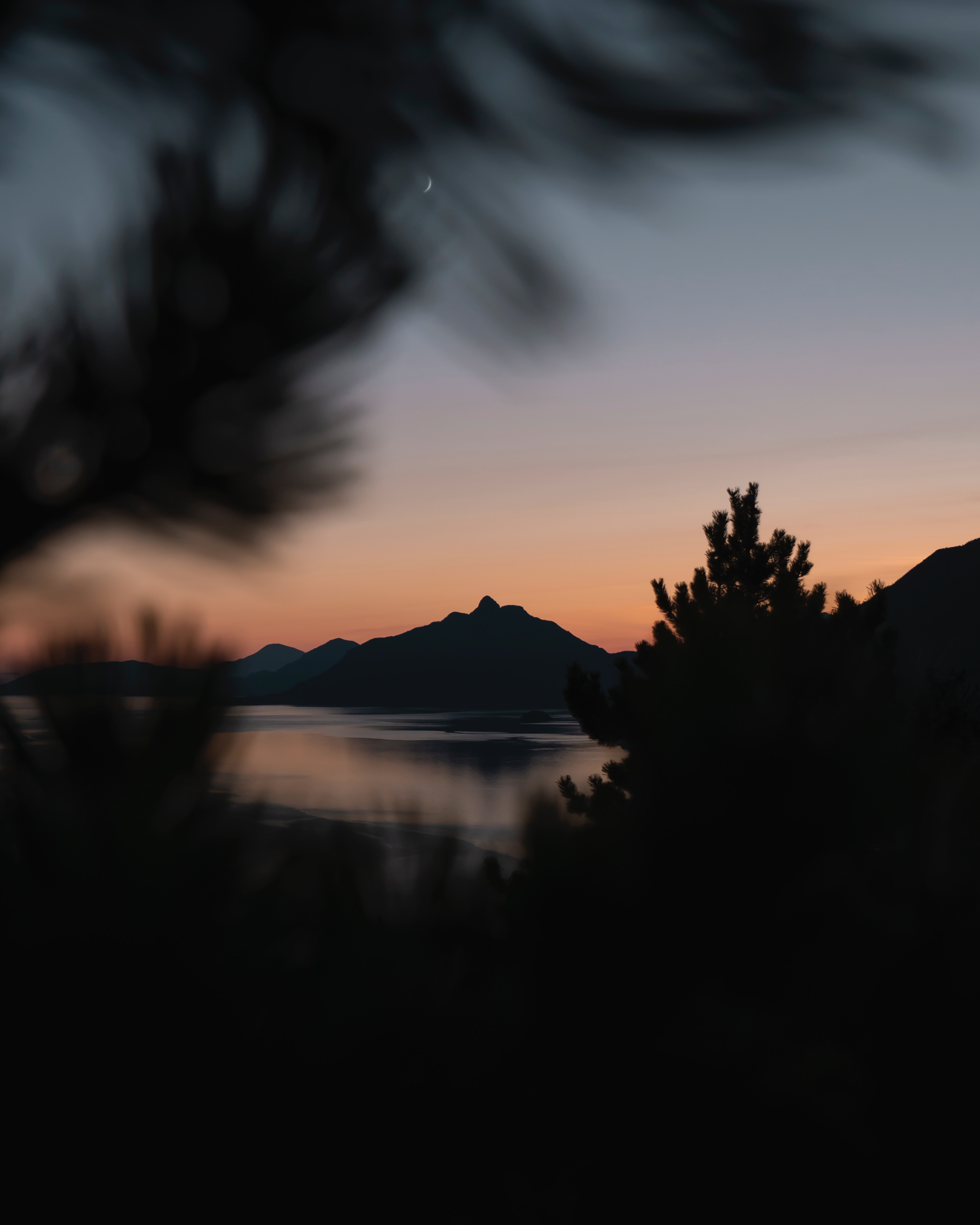 Wallpaper Mountains, Sunset, Branches, Blur, Night - Night Nature Blur Background - HD Wallpaper 