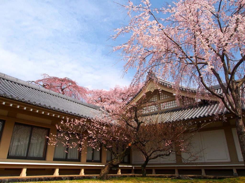 Tempat Wisata Di Jepang Musim Semi - HD Wallpaper 