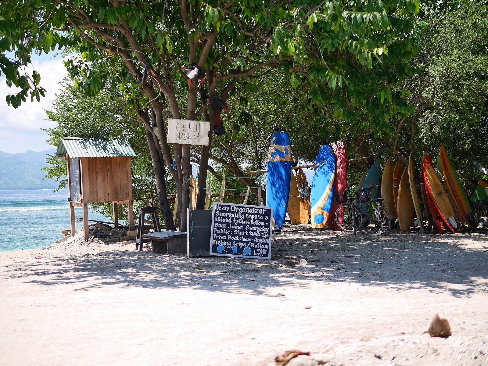 Grove - HD Wallpaper 