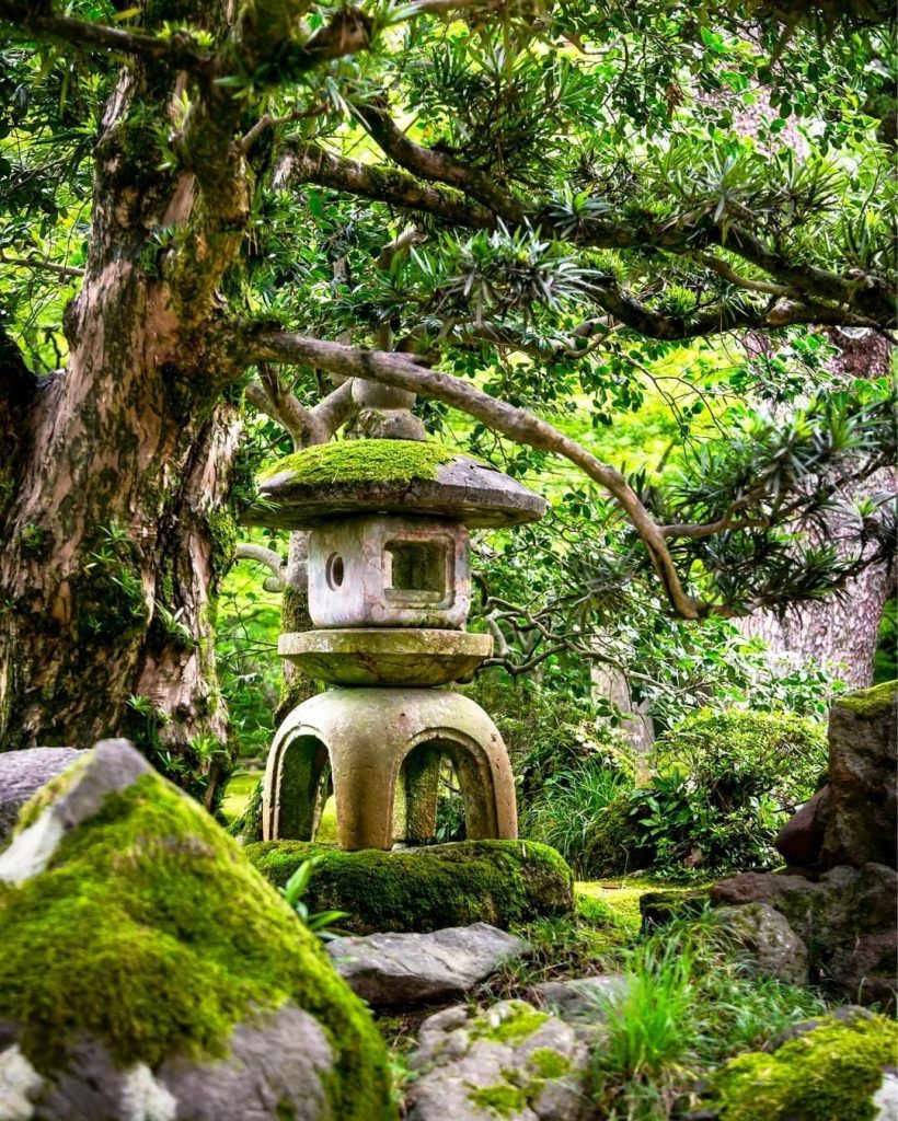 Botanical Garden - HD Wallpaper 