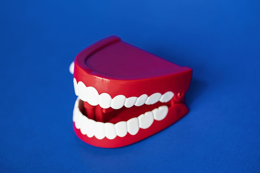 Plastic Denture Toy, Artificial, Dental, Dentistry, - 틀니 - HD Wallpaper 
