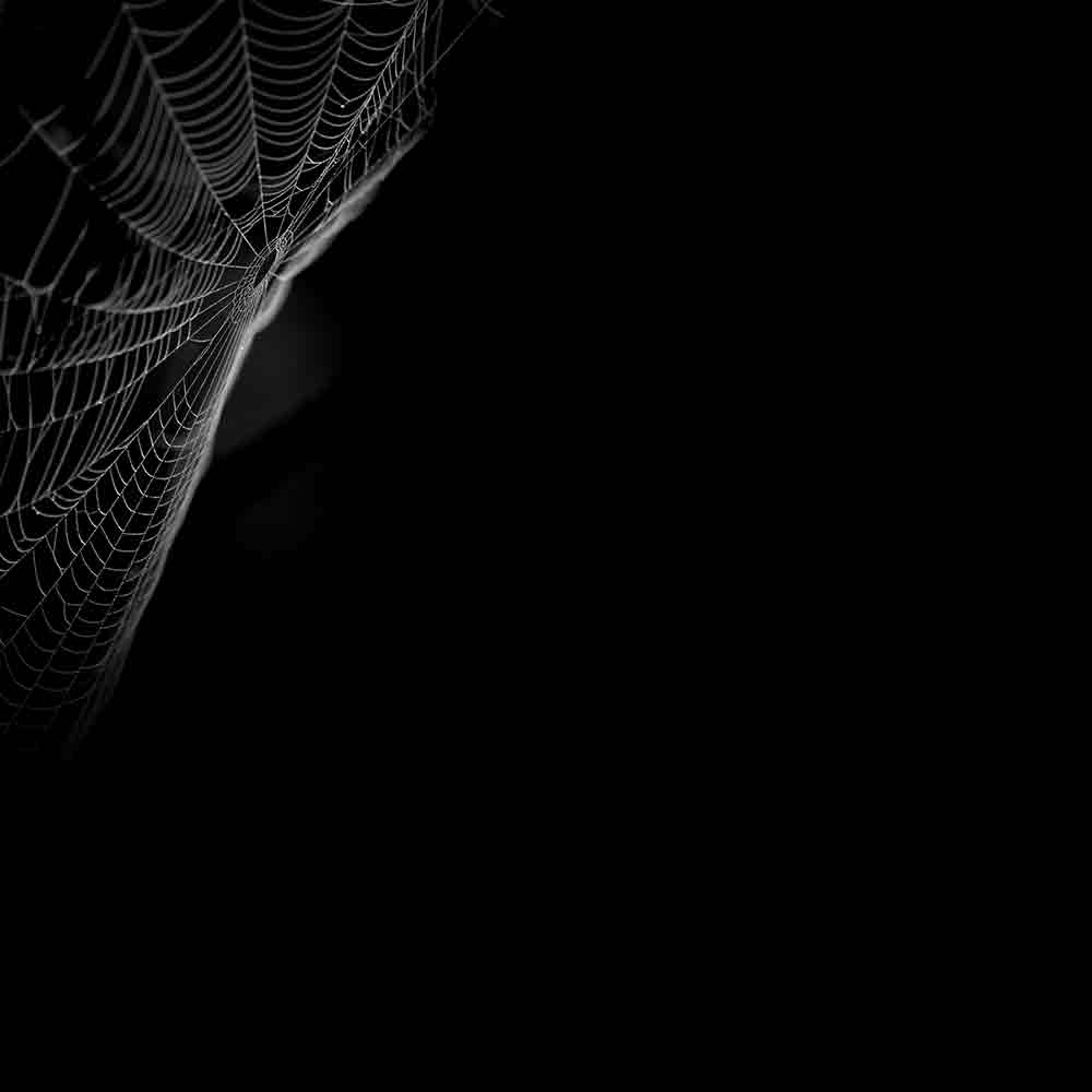 Pura Din Is Fake Smile K Sath Reh To Lete Hai😊

pr - People Change With Time Priorities Change - HD Wallpaper 