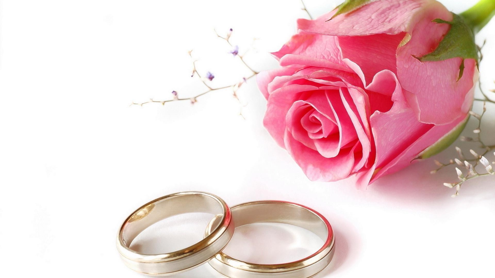 Love And Romance Romance Love Wedding Rose Romantic - Wedding Rings And Flowers - HD Wallpaper 