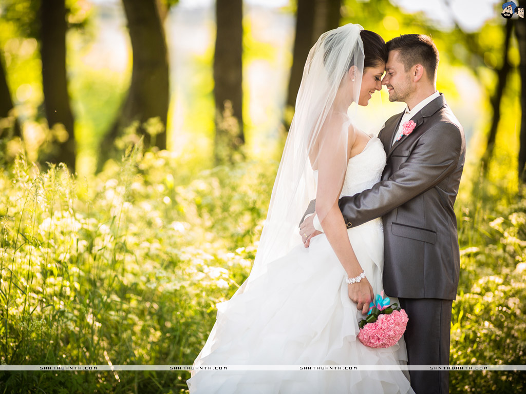 Wedding - HD Wallpaper 