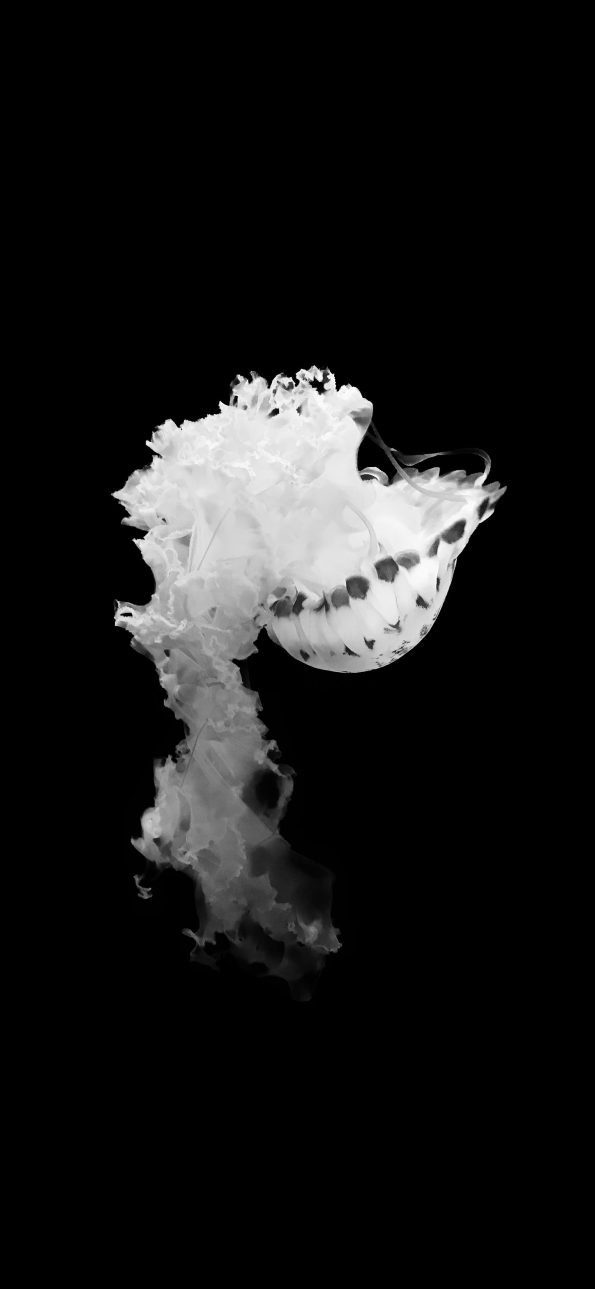 Grayscale - HD Wallpaper 