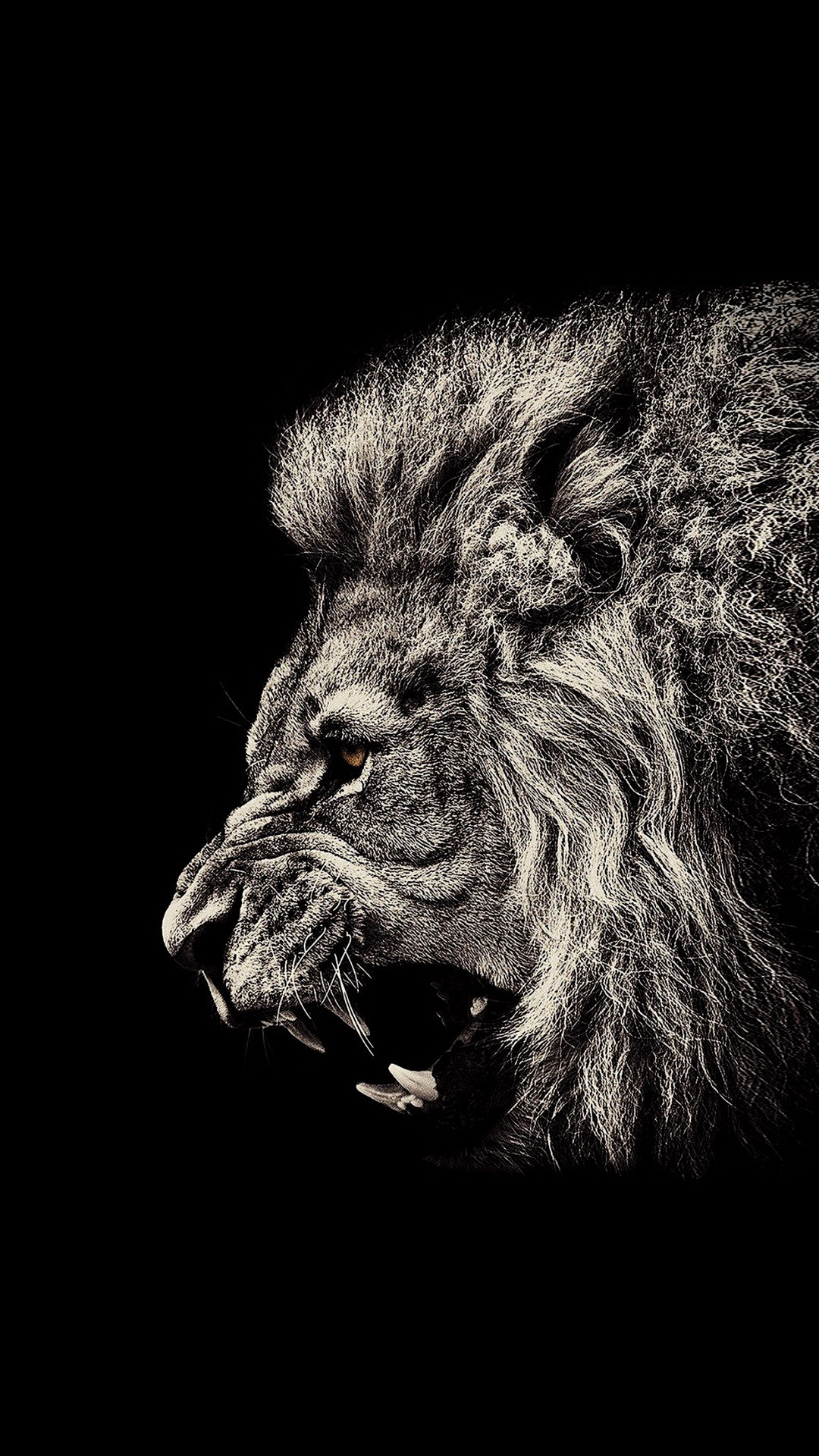 Lion Black Amoled Need Iphone S Plus Background For - Black Wallpaper Hd Lion - HD Wallpaper 