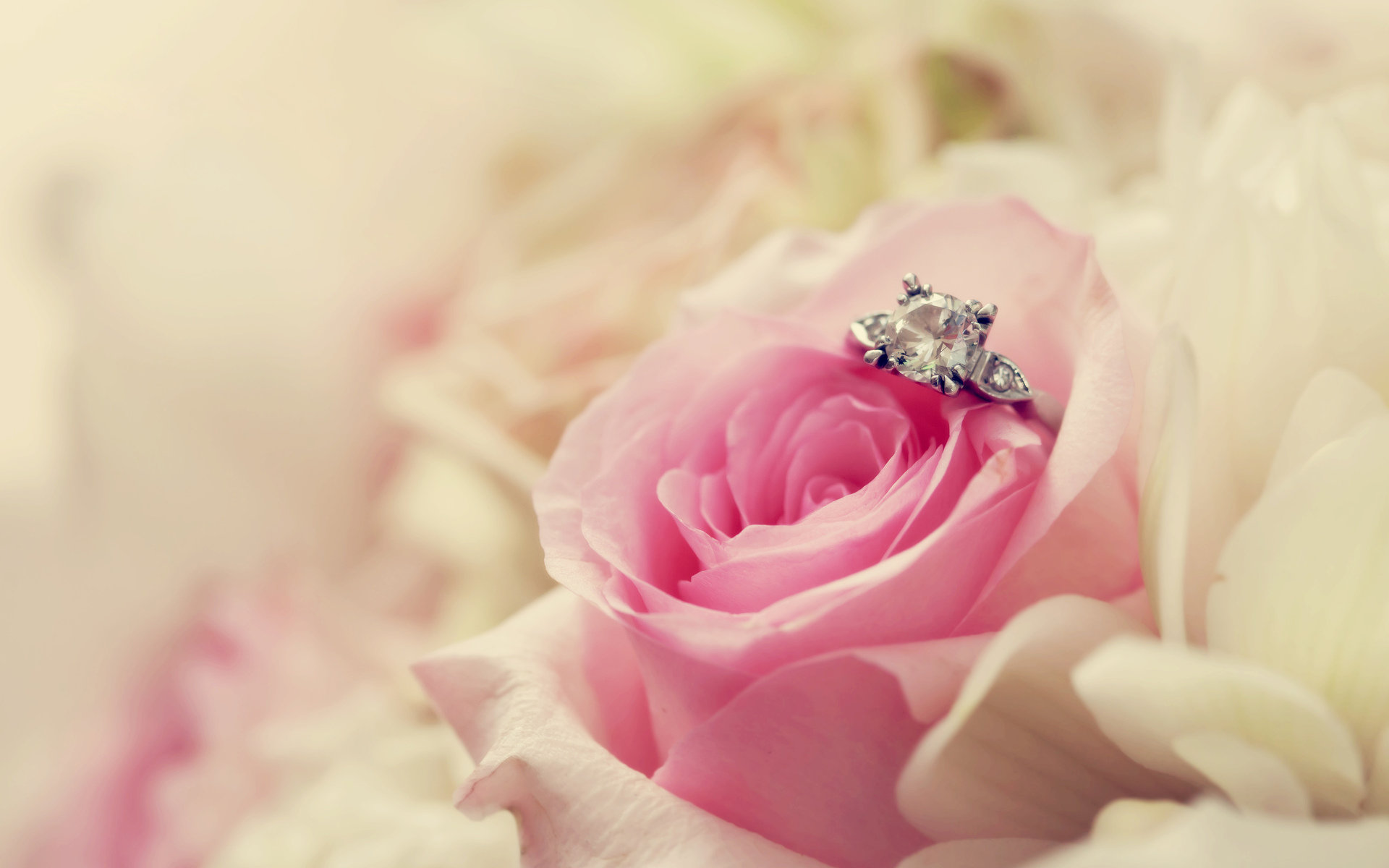 Download Hd Wedding Desktop Background Id - Cute Happy Propose Day - HD Wallpaper 