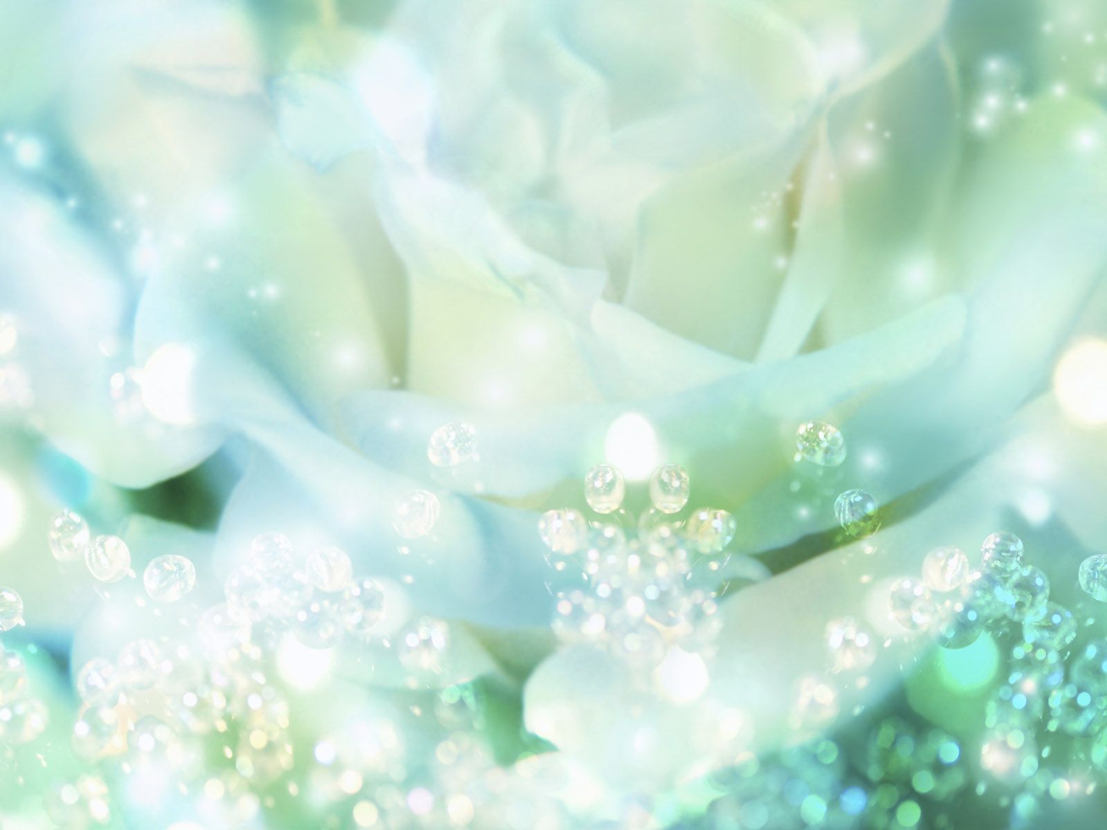 Mint Green Wedding Background - HD Wallpaper 