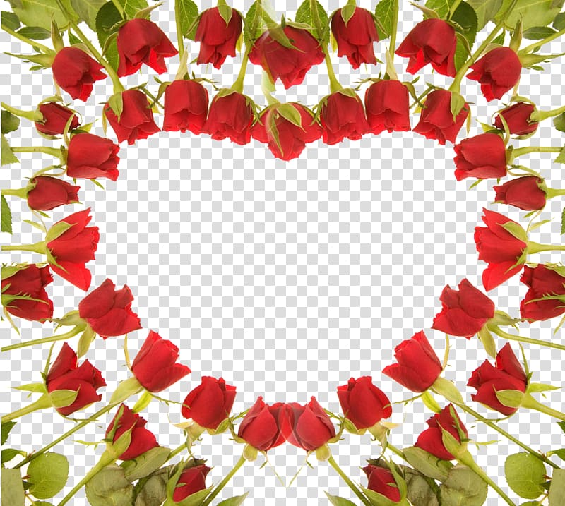 Rose Flower Gift Desktop , Red Rose Wedding Transparent - Rose Flowers Flowers Background - HD Wallpaper 