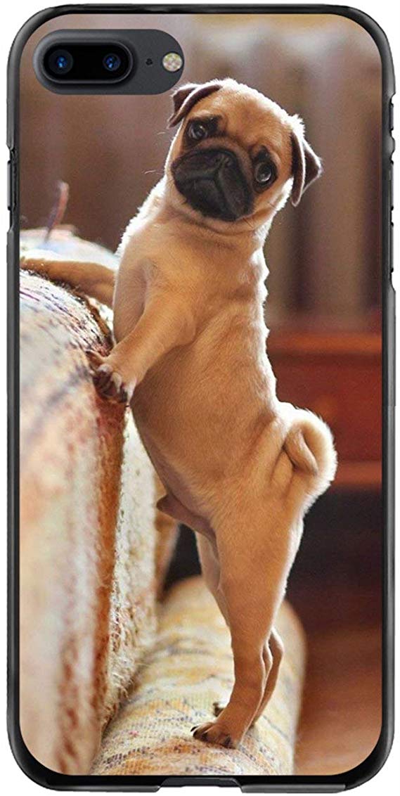 For Samsung Galaxy S6 Case Cute Pug Dog Hd Wallpapers - Archie The Pug Star - HD Wallpaper 