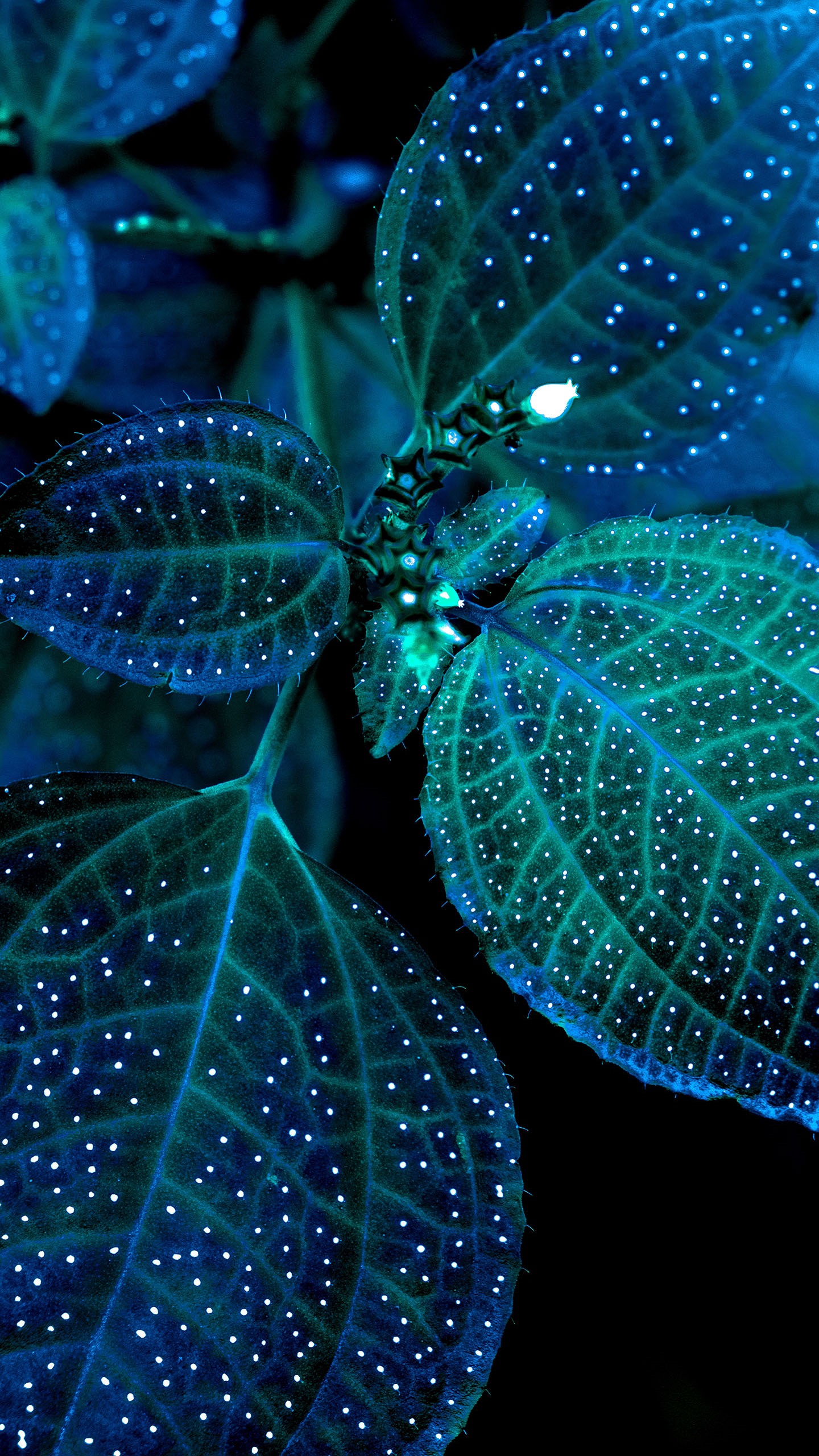 Samsung Note 10 Plus - 1440x2560 Wallpaper Samsung Note 10 Plus - 1440x2560 Wallpaper