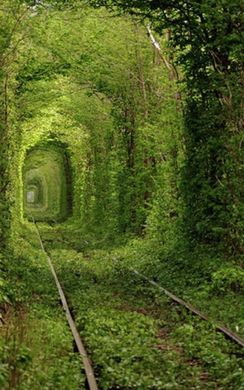 Hd Wallpapers 1080x1920 Nature - 800x1280 Wallpaper Hd Wallpapers 1080x1920 Nature - 800x1280 Wallpaper