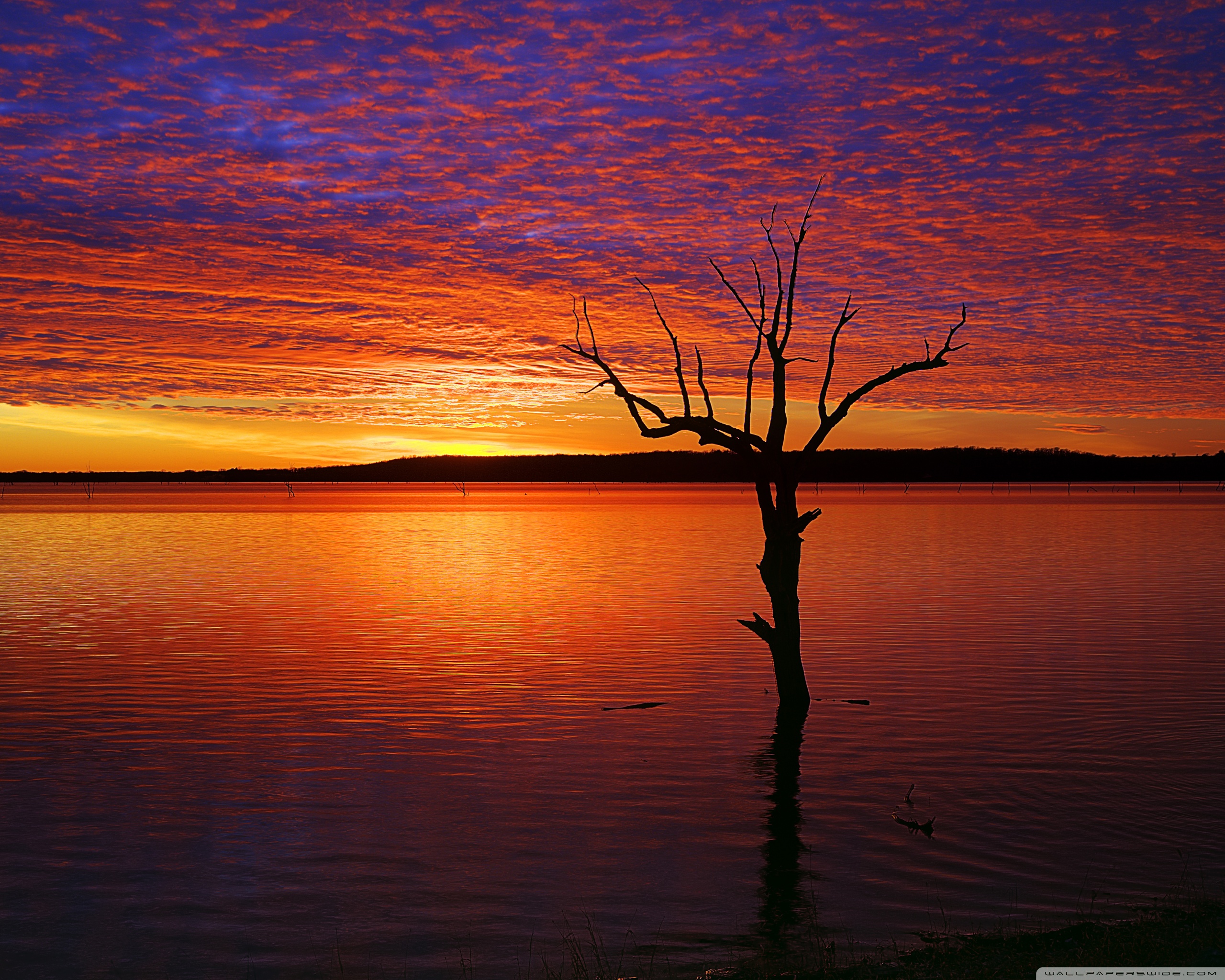 Sunset - HD Wallpaper 