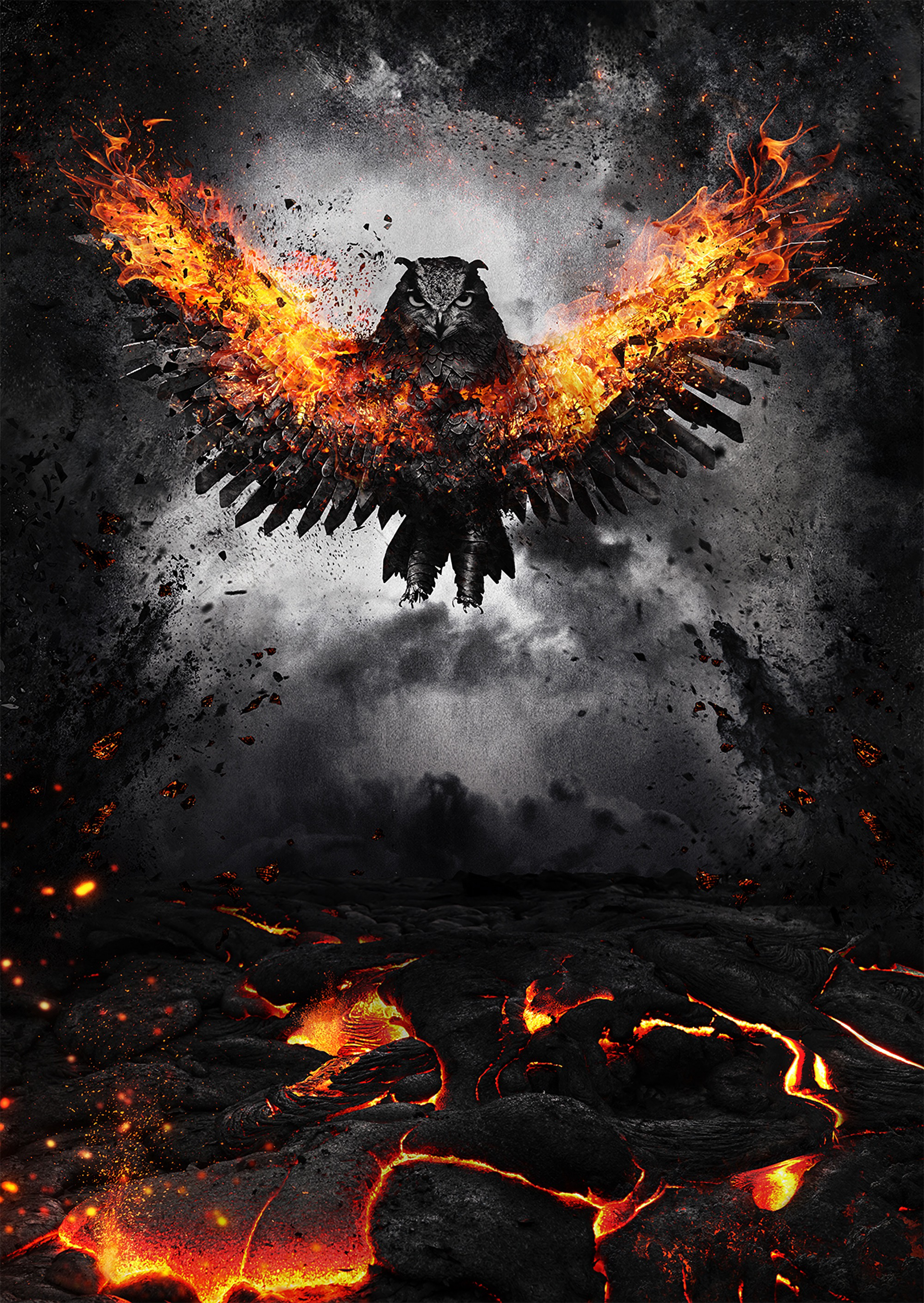 Wallpaper Owl, Bird, Fire, Wings, Flap - Background Of Fire Wings Hd - HD Wallpaper 