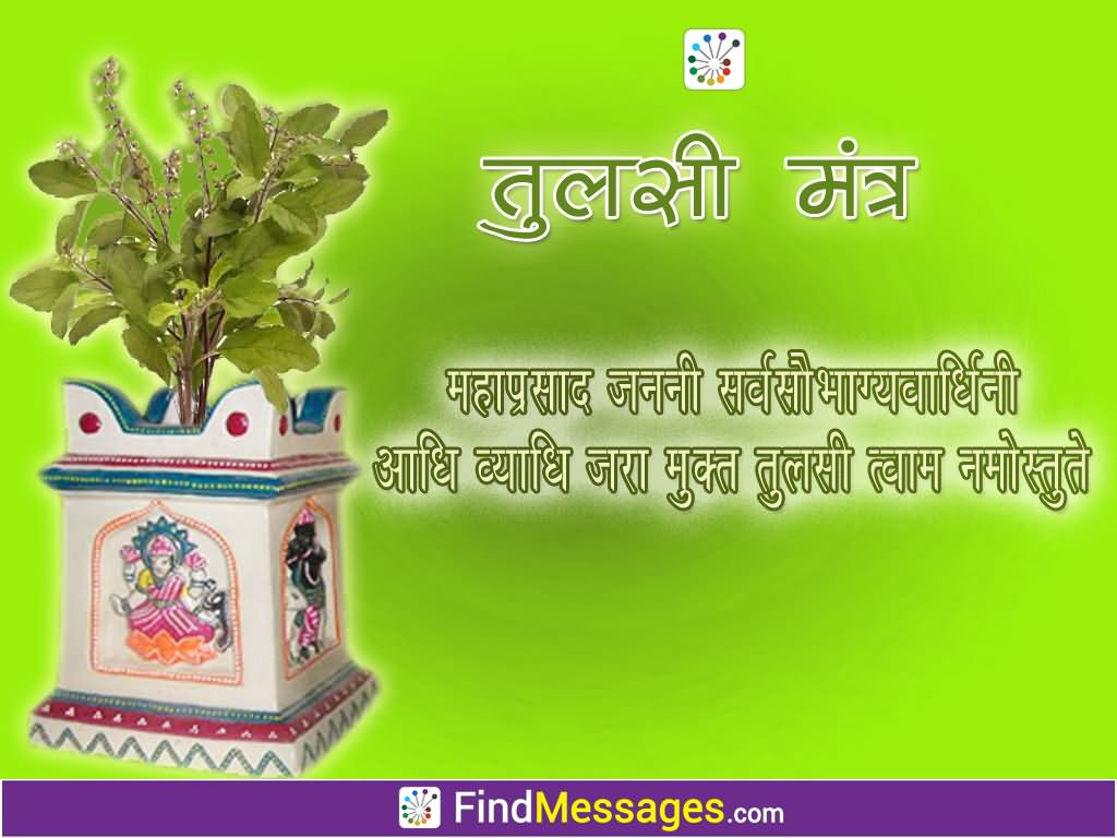 Mahaprasad Janani Tulasi Mantra - HD Wallpaper 