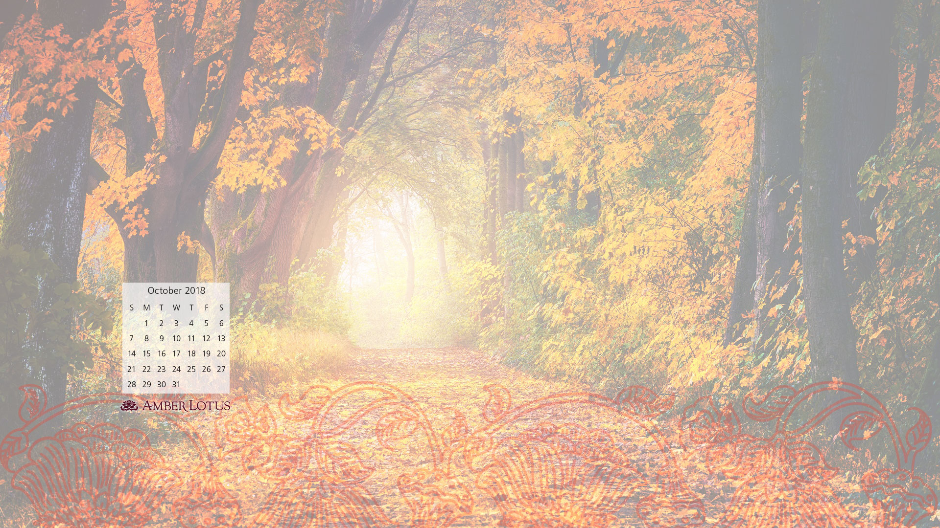 Autumn Background - HD Wallpaper 