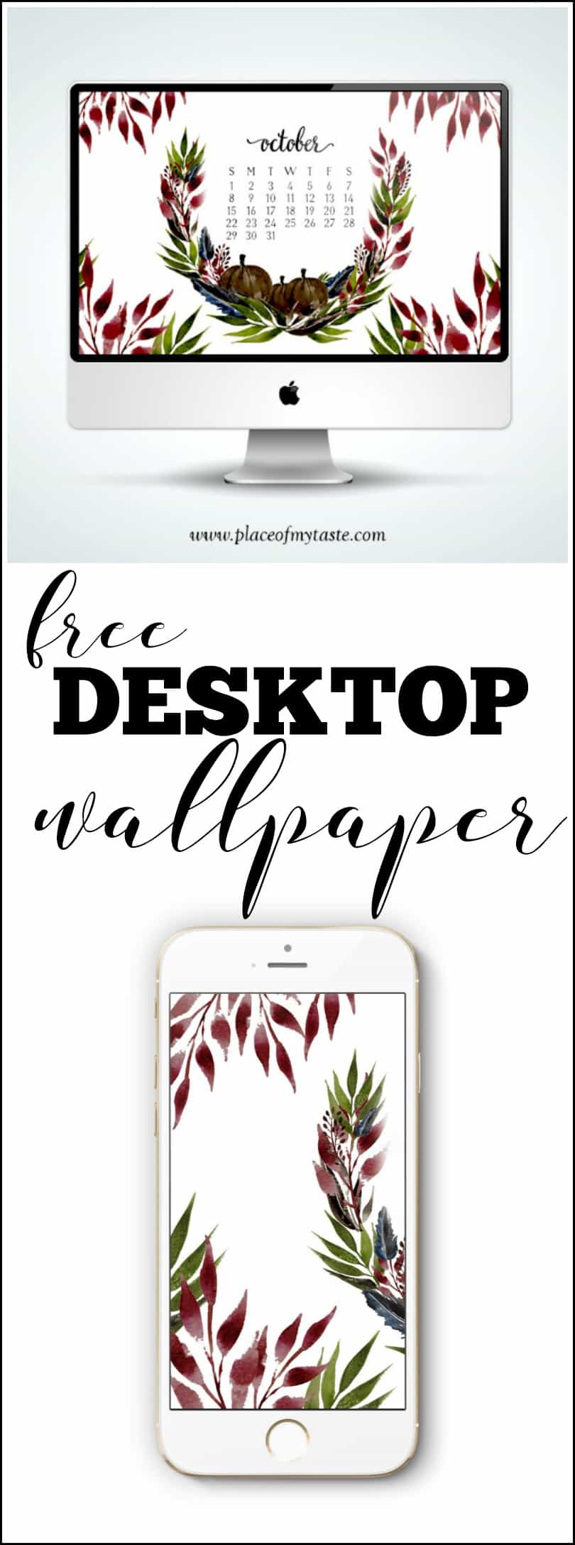 Pineapple - HD Wallpaper 