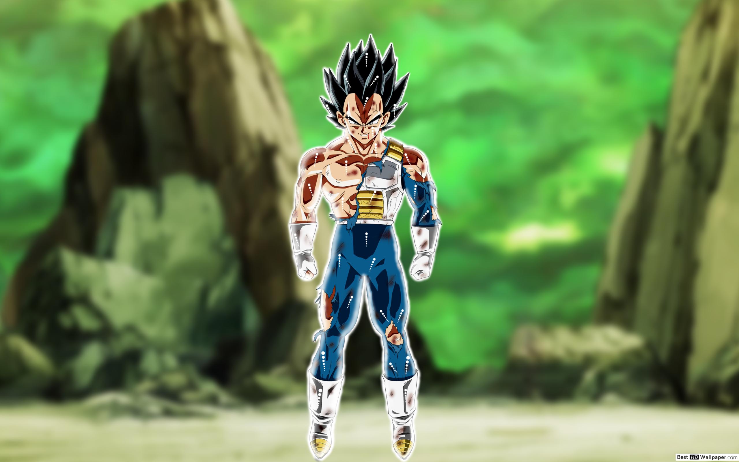 Iphone Dragon Ball Vegeta - HD Wallpaper 