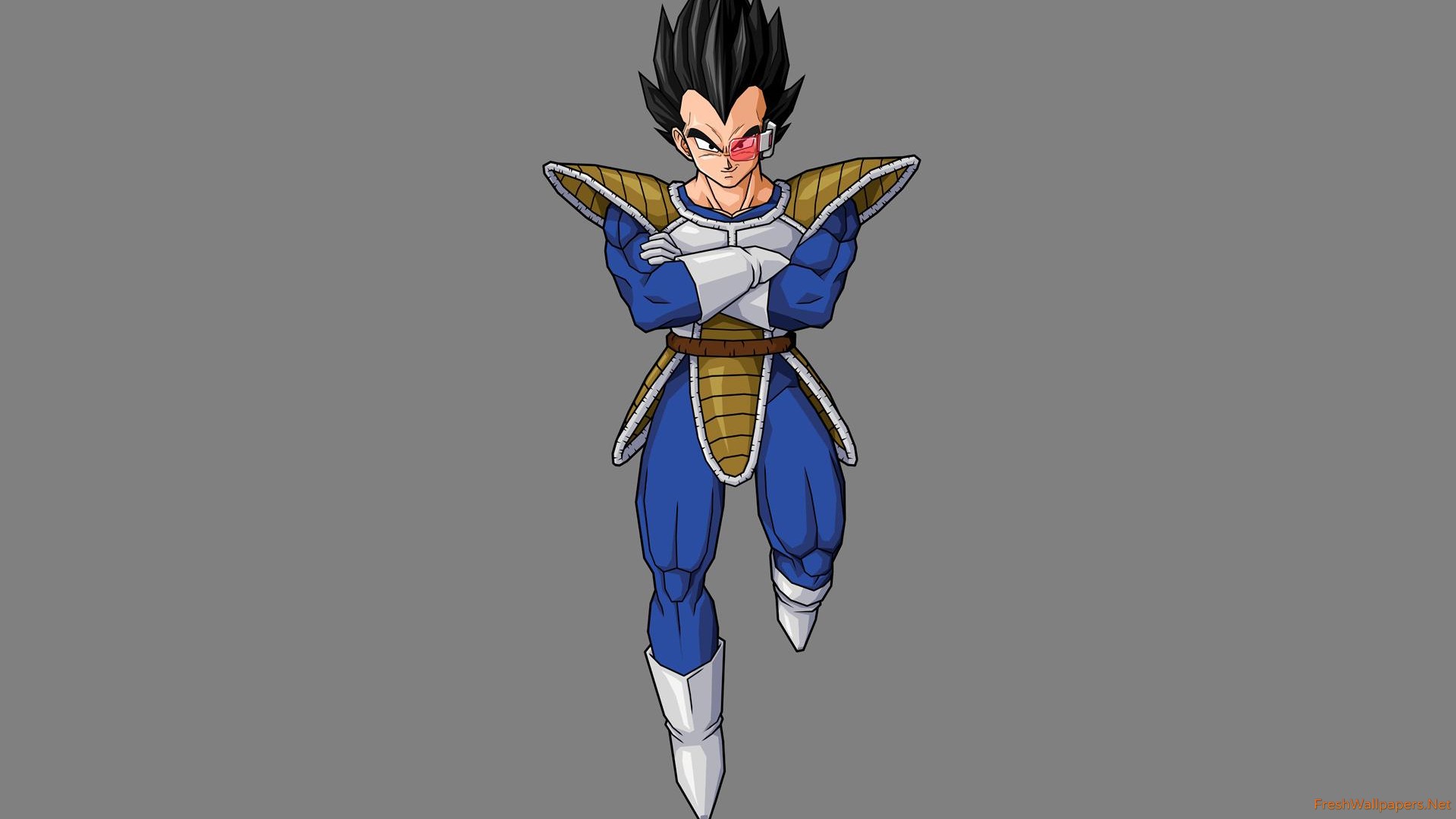 Vegeta Dragonball Z - HD Wallpaper 