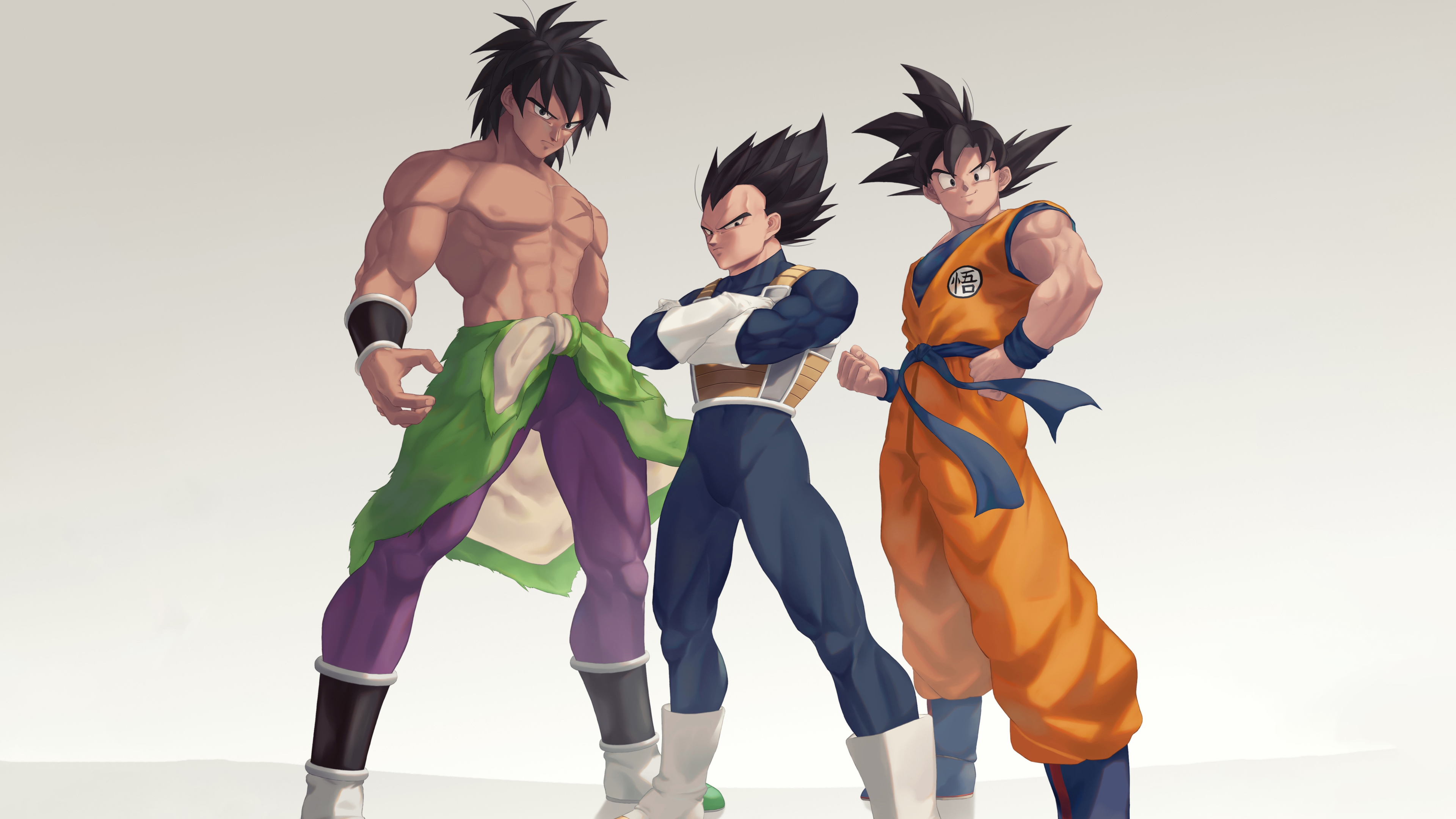 Goku And Vegeta And Broly - HD Wallpaper 