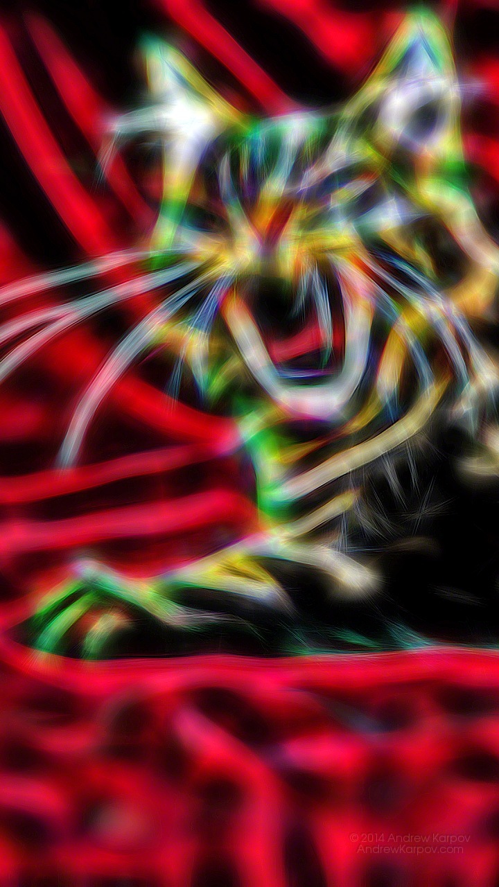 Intex Aqua - Visual Arts - HD Wallpaper 