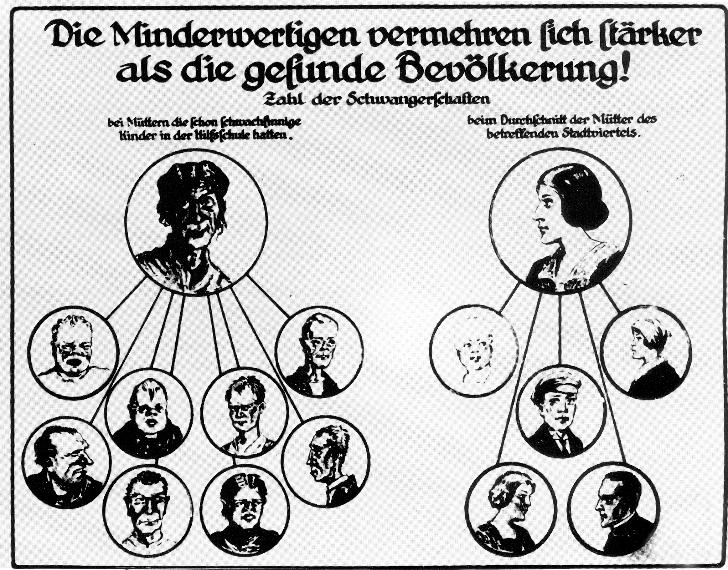 Nazi Heredity Chart - Down Syndrome Abortion Nazis - HD Wallpaper 